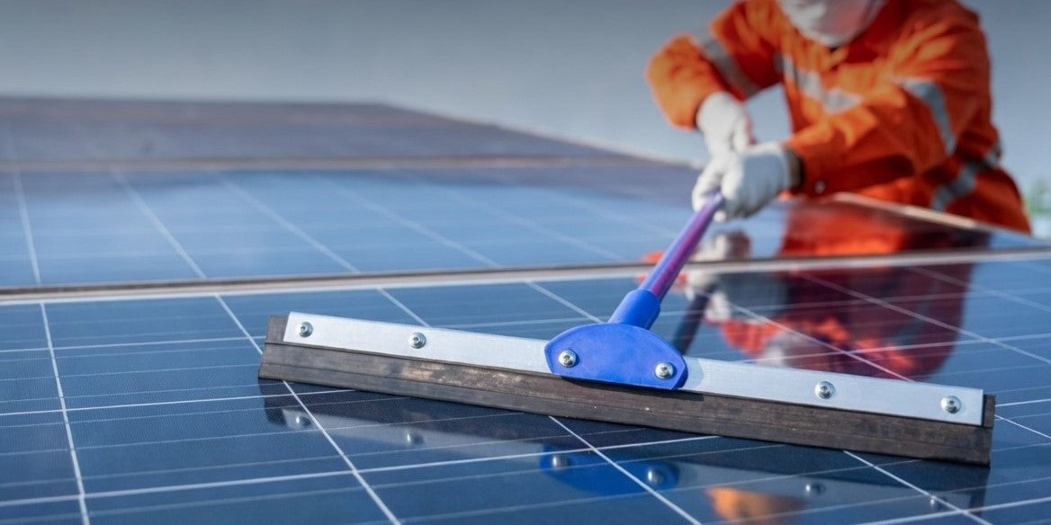 What is Lavee Solar?