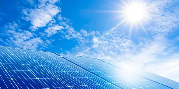 What is Lavee Solar?